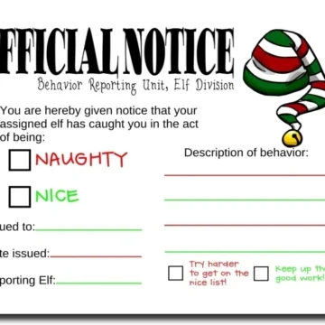 Elf Behavior Notes