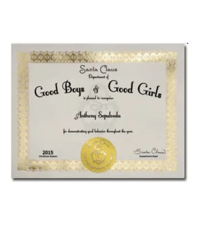 Good Behavior Certificate