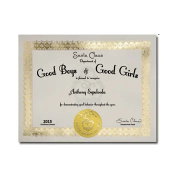 Good Behavior Certificate